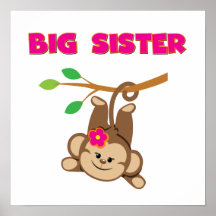 Monkey Big Sister Poster
