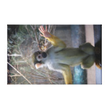 Monkey Canvas Canvas Print