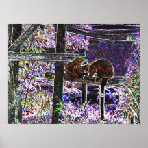 Monkey Neon Art Electric Lights Zoo Animals Print