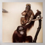 Monkeys in a tree posters