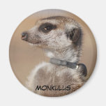 Monkulus Magnet