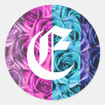 Monogram Letter E Roses Multi Colour Sticker