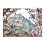 Montgo Through The Blossom Canvas Gallery Wrapped Canvas