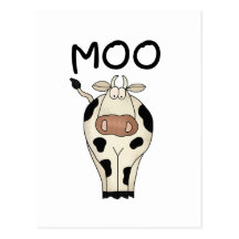 Moo Cow Tshirts and Gifts Postcard