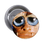 moody blue pin