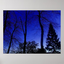 Moody blue. print
