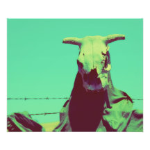Moody Cow Skull Photo Print