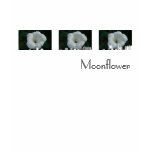 Moonflower T Shirt