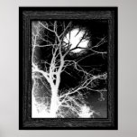 Moonlight Print