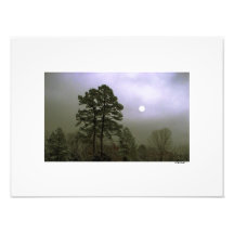MOONLIGHT ROMANCE by CR SINCLAIR Art Photo