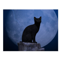 Moonlit Cat Post Card
