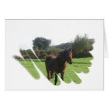 Moor Pony Greeting Card