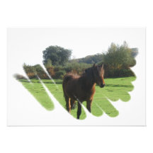 Moor Pony Invitation