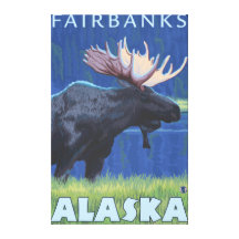 Moose at Night - Fairbanks, Alaska Canvas Print