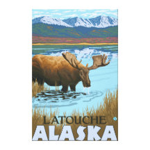 Moose Drinking at Lake - Latouche, Alaska Canvas Prints