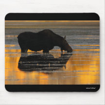 moose mousepad