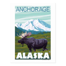 Moose Scene - Anchorage, Alaska Postcards