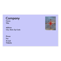 Moral Compass Business Cards