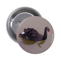 More Black Swan Buttons