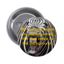 More Zebra Stuff! Pins