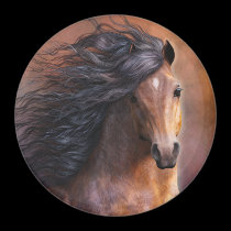 Morgan Horse Magnet magnets