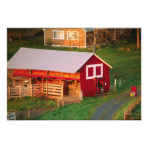 Morning chores on the farm. USA, Vermont, Photo Print