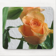 Morning Dew on Apricot Rose Mouse Pads
