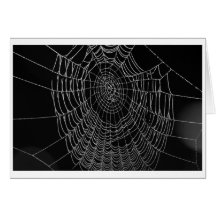 Morning Dew On The Web Card