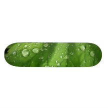 Morning_dew Skate Boards