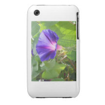 Morning Glory iTouch Case iPhone 3 Case-Mate Case