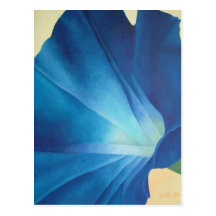 Morning Glory Postcard