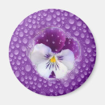 Morning Mist and Pansy Magnet