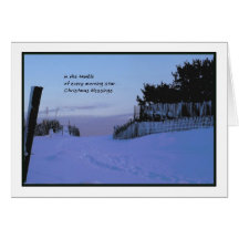 Morning Star Christmas Cards