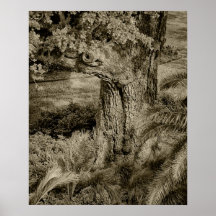 Morning Textures Posters