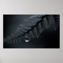 Morning Treasure Poster