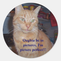 Morris, Oughta be in pictures, I'm pic... Stickers