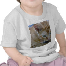 Morris T Shirts