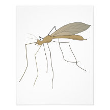 mosquito crane fly custom invitation
