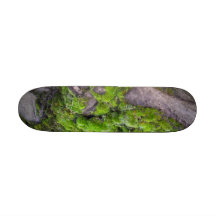 Mossdeck Custom Skate Board