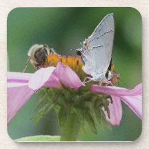 Moth & Bee Flower Cork Coaster
