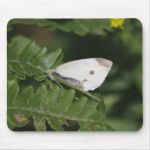 Moth Mouse Pads