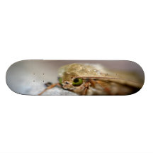 MOTH SKATE DECK