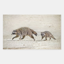 Mother and Baby Raccoon Rectangular Stickers
