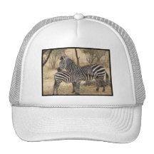Mother and Baby Zebra  Baseball Hat