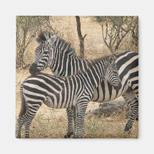 Mother and Baby Zebra Magnet