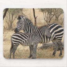 Mother and Baby Zebra  Mouse Pad