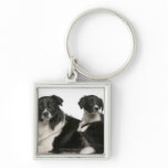 Mother border collie and puppy keychain