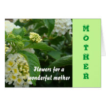 Mother, Cream hydrangas Cards