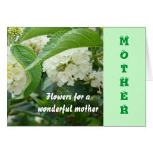 Mother,Cream hydrangas Greeting Cards