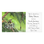 Mother Hummingbird on Nest Photo Card Template